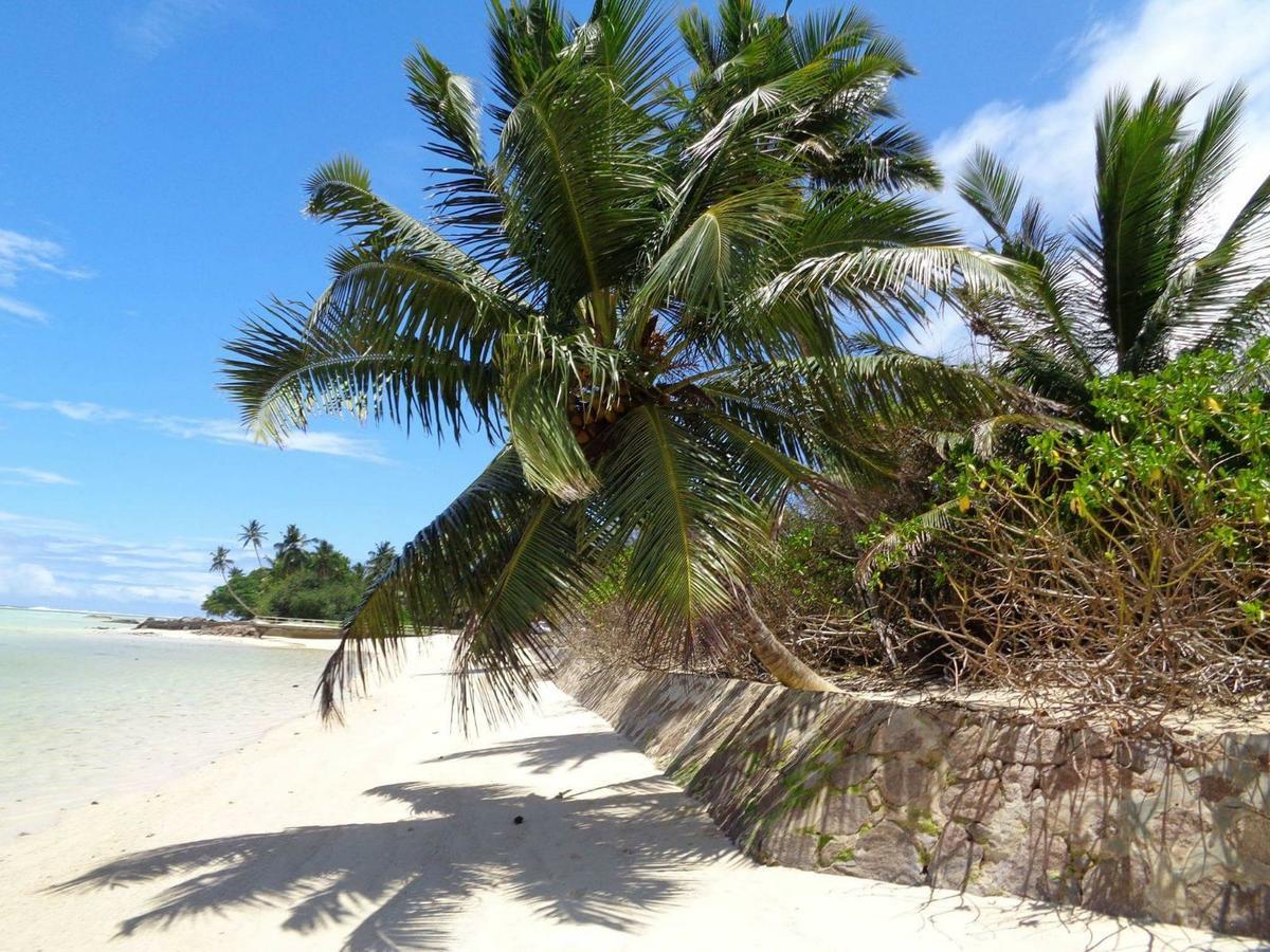 Hcs Bungalows Turtle Bay Rustic Bungalow Au Cap Exterior foto